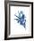 Indigo Botanica III-Naomi McCavitt-Framed Art Print