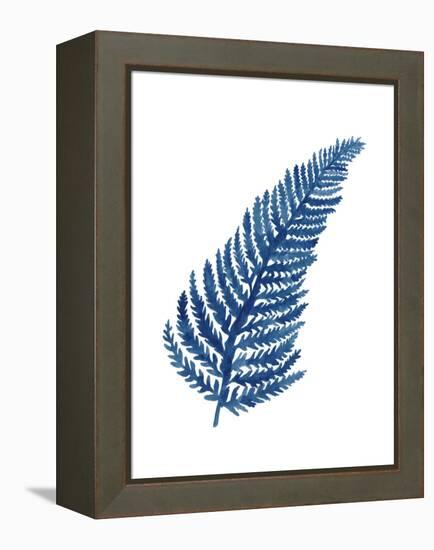 Indigo Botanica IV-Naomi McCavitt-Framed Stretched Canvas