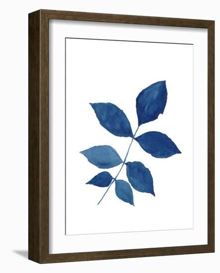 Indigo Botanica VI-Naomi McCavitt-Framed Art Print