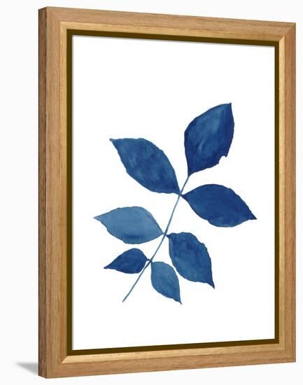 Indigo Botanica VI-Naomi McCavitt-Framed Stretched Canvas