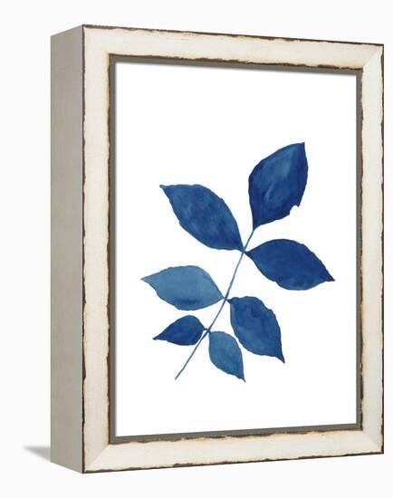Indigo Botanica VI-Naomi McCavitt-Framed Stretched Canvas