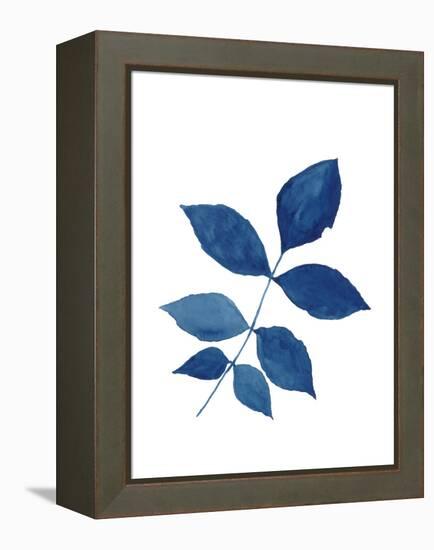 Indigo Botanica VI-Naomi McCavitt-Framed Stretched Canvas