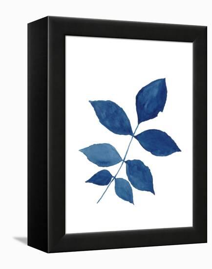 Indigo Botanica VI-Naomi McCavitt-Framed Stretched Canvas