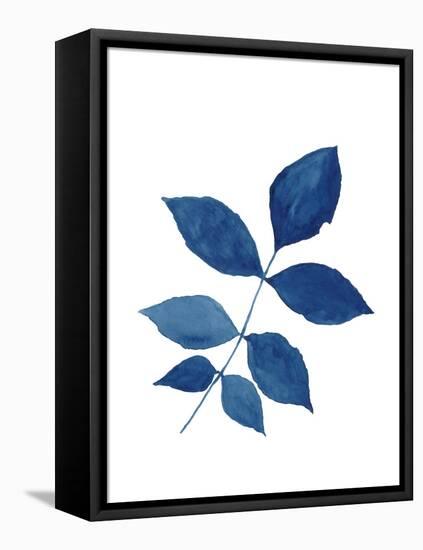 Indigo Botanica VI-Naomi McCavitt-Framed Stretched Canvas