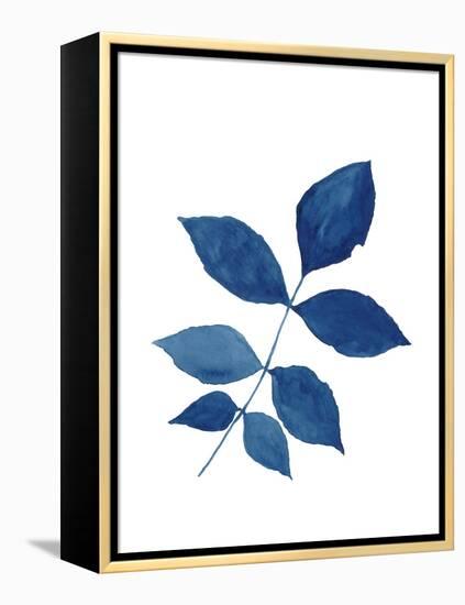 Indigo Botanica VI-Naomi McCavitt-Framed Stretched Canvas