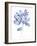 Indigo Botanical 12-Jean Plout-Framed Giclee Print