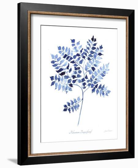 Indigo Botanical 12-Jean Plout-Framed Giclee Print