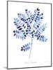 Indigo Botanical 12-Jean Plout-Mounted Giclee Print