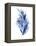 Indigo Botanical 7-Jean Plout-Framed Premier Image Canvas