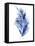 Indigo Botanical 7-Jean Plout-Framed Premier Image Canvas