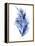 Indigo Botanical 7-Jean Plout-Framed Premier Image Canvas