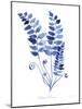 Indigo Botanical 9-Jean Plout-Mounted Giclee Print