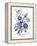 Indigo Botanical I-Gwendolyn Babbitt-Framed Stretched Canvas