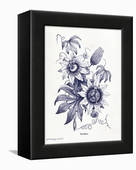 Indigo Botanical I-Gwendolyn Babbitt-Framed Stretched Canvas