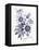 Indigo Botanical I-Gwendolyn Babbitt-Framed Stretched Canvas