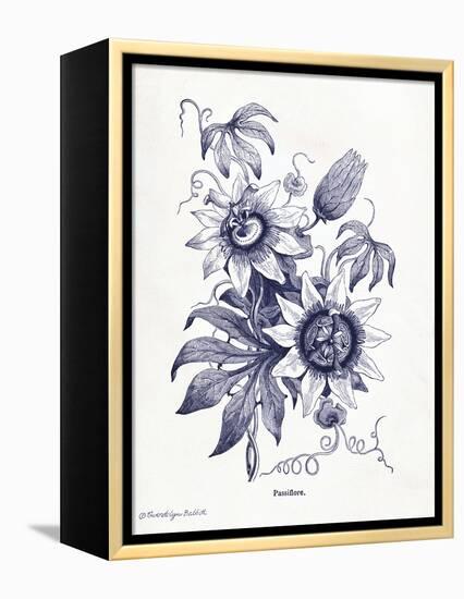 Indigo Botanical I-Gwendolyn Babbitt-Framed Stretched Canvas