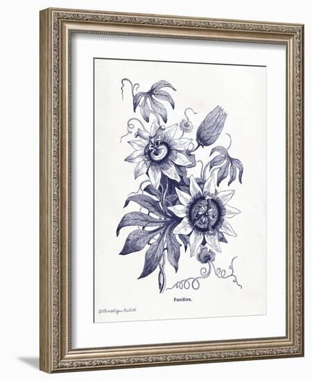 Indigo Botanical I-Gwendolyn Babbitt-Framed Art Print