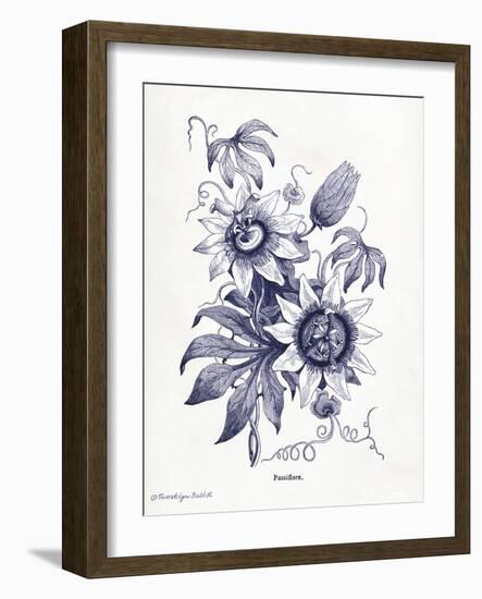 Indigo Botanical I-Gwendolyn Babbitt-Framed Art Print