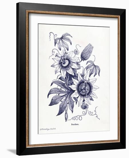 Indigo Botanical I-Gwendolyn Babbitt-Framed Art Print