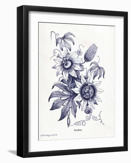 Indigo Botanical I-Gwendolyn Babbitt-Framed Art Print