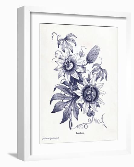 Indigo Botanical I-Gwendolyn Babbitt-Framed Art Print