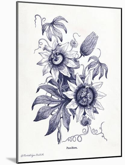 Indigo Botanical I-Gwendolyn Babbitt-Mounted Art Print