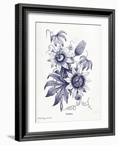 Indigo Botanical I-Gwendolyn Babbitt-Framed Art Print