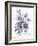 Indigo Botanical I-Gwendolyn Babbitt-Framed Art Print