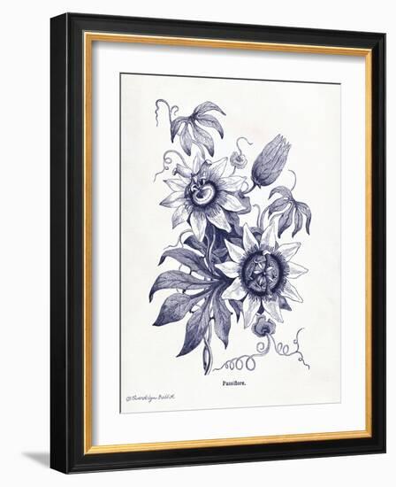 Indigo Botanical I-Gwendolyn Babbitt-Framed Art Print