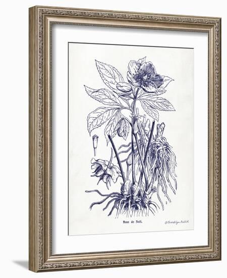 Indigo Botanical II-Gwendolyn Babbitt-Framed Art Print