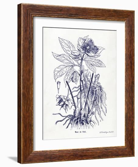 Indigo Botanical II-Gwendolyn Babbitt-Framed Art Print