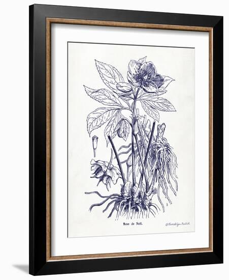 Indigo Botanical II-Gwendolyn Babbitt-Framed Art Print