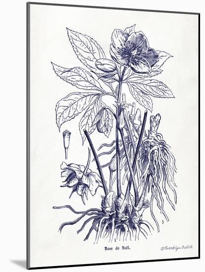 Indigo Botanical II-Gwendolyn Babbitt-Mounted Art Print