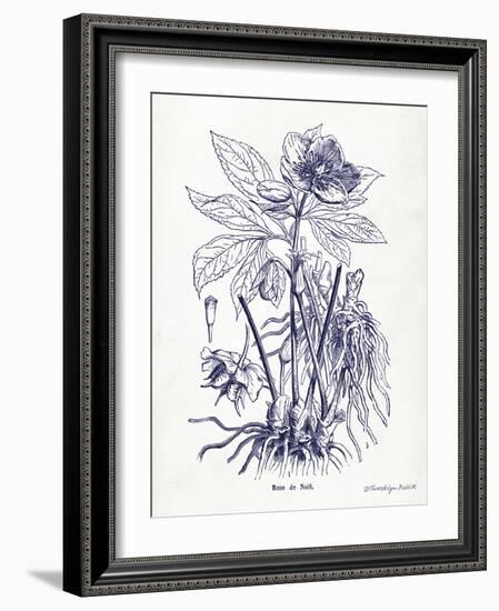 Indigo Botanical II-Gwendolyn Babbitt-Framed Art Print