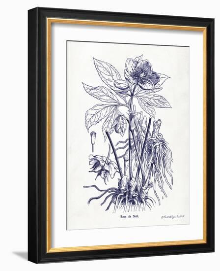 Indigo Botanical II-Gwendolyn Babbitt-Framed Art Print