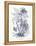 Indigo Botanical II-Gwendolyn Babbitt-Framed Stretched Canvas