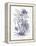 Indigo Botanical II-Gwendolyn Babbitt-Framed Stretched Canvas