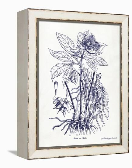 Indigo Botanical II-Gwendolyn Babbitt-Framed Stretched Canvas