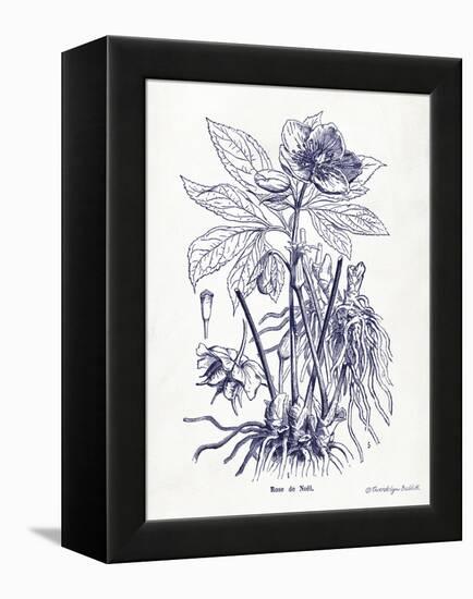 Indigo Botanical II-Gwendolyn Babbitt-Framed Stretched Canvas