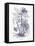 Indigo Botanical II-Gwendolyn Babbitt-Framed Stretched Canvas