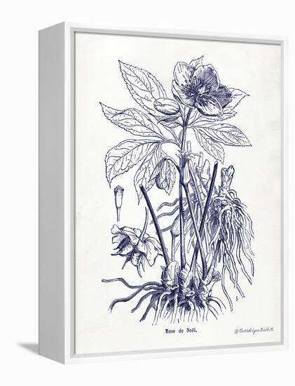 Indigo Botanical II-Gwendolyn Babbitt-Framed Stretched Canvas