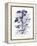 Indigo Botanical III-Gwendolyn Babbitt-Framed Stretched Canvas