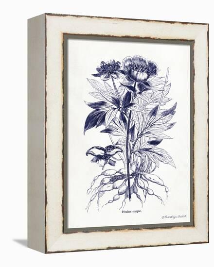 Indigo Botanical III-Gwendolyn Babbitt-Framed Stretched Canvas
