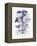 Indigo Botanical III-Gwendolyn Babbitt-Framed Stretched Canvas