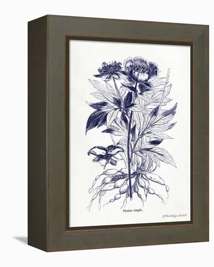 Indigo Botanical III-Gwendolyn Babbitt-Framed Stretched Canvas