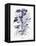 Indigo Botanical III-Gwendolyn Babbitt-Framed Stretched Canvas