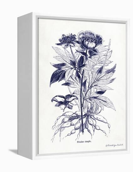 Indigo Botanical III-Gwendolyn Babbitt-Framed Stretched Canvas