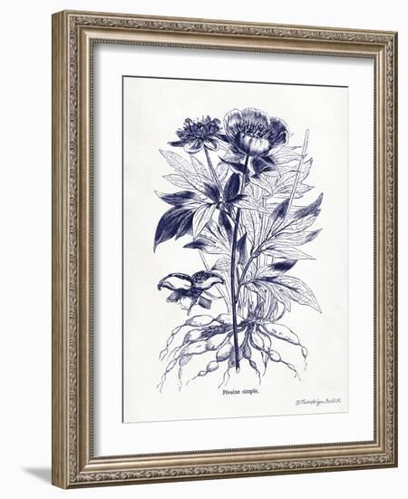 Indigo Botanical III-Gwendolyn Babbitt-Framed Art Print