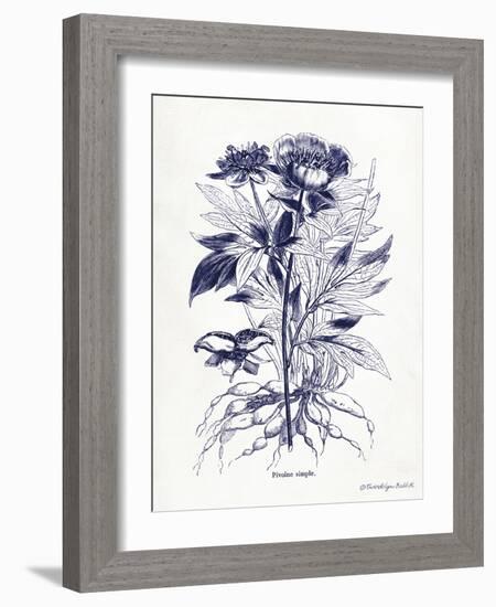 Indigo Botanical III-Gwendolyn Babbitt-Framed Art Print