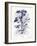 Indigo Botanical III-Gwendolyn Babbitt-Framed Art Print